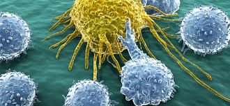 Immunotherapy cancer treatment graphic