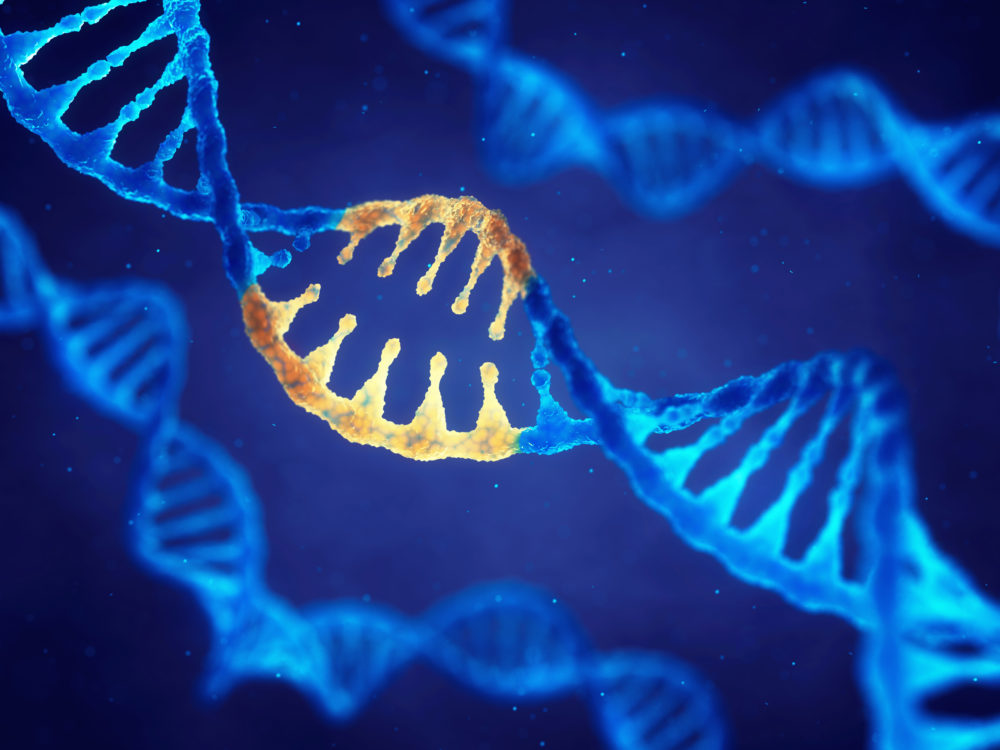 Correcting Mutation By Genetic Engineering