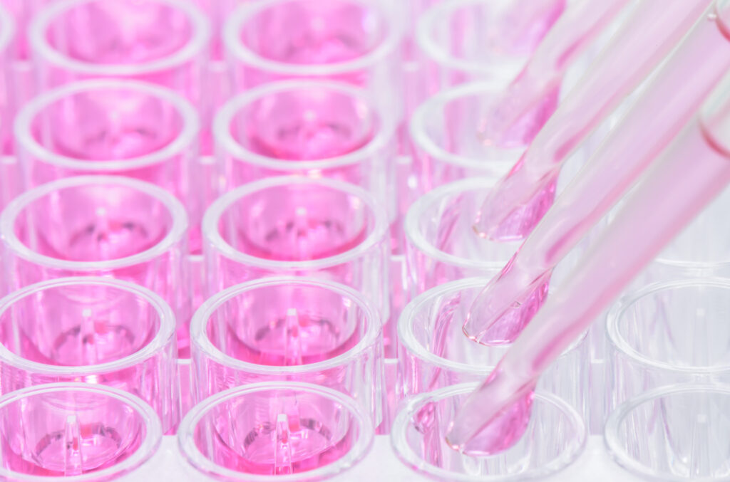 Pipetting pink liquid into 96 well plate