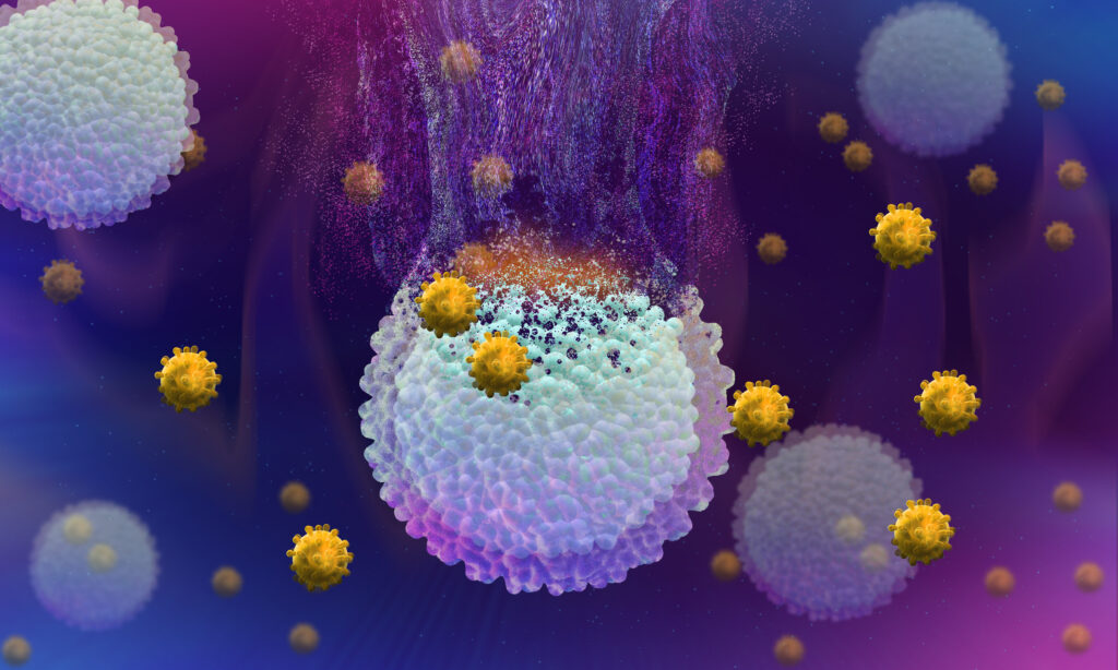 Cancer cells being destroyed by immunotherapy