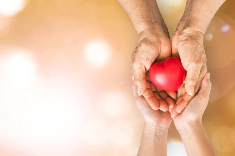 Elderly senior person or grandparent's hands with red heart in support of nursing family caregiver for national hospice palliative care and family ...